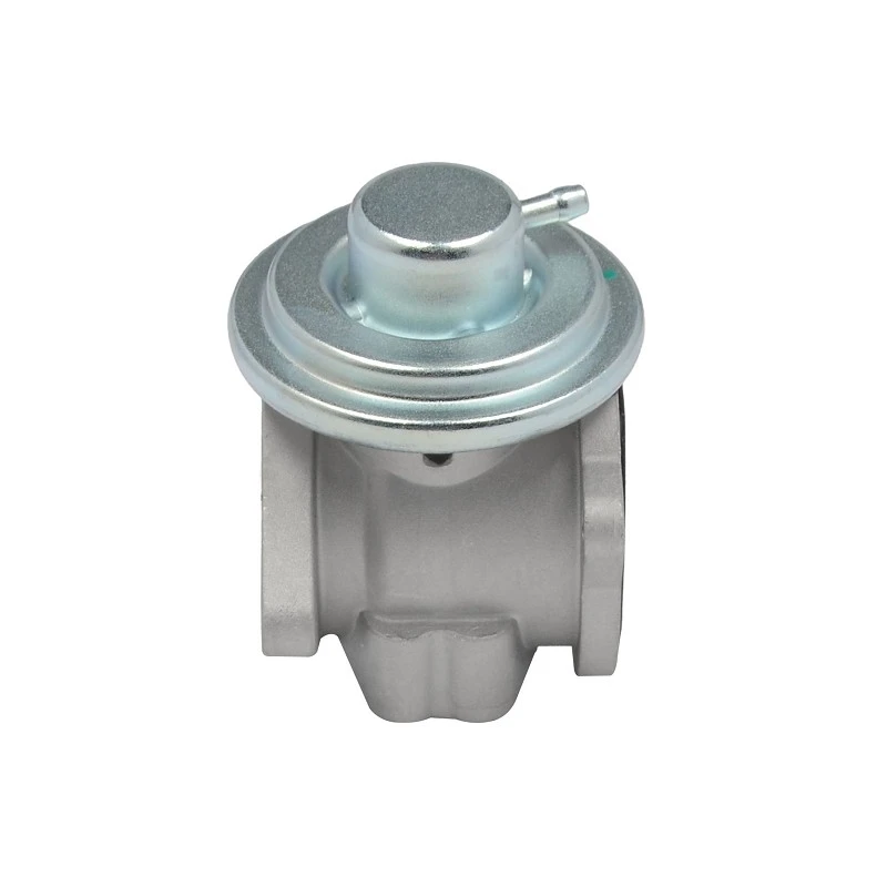 038 131 501 AF Automotive EGR Valve For Road Transport Engines PIERBURG: 7.24809.16.0 best