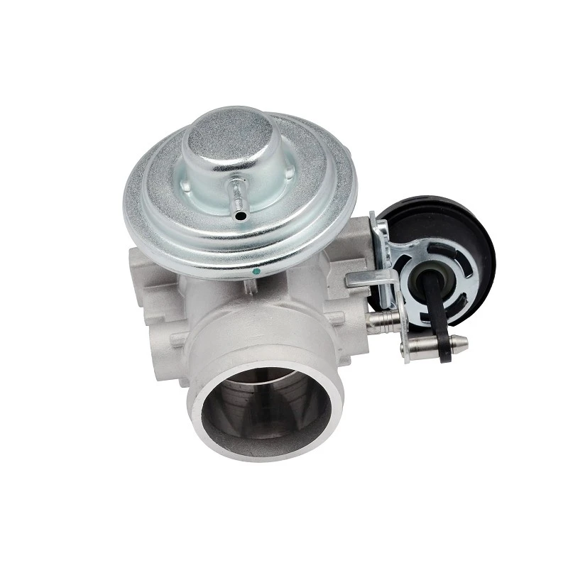 038131501AQ OEM Standard EGR Valve For VW Engine Application ERA:555074 best
