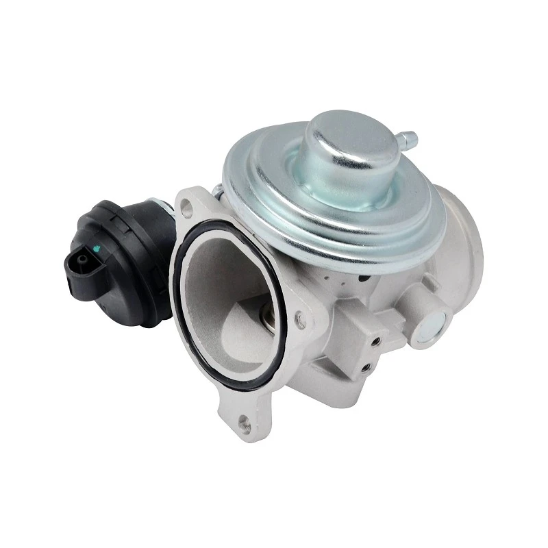 038131501AQ OEM Standard EGR Valve For VW Engine Application ERA:555074 high quality