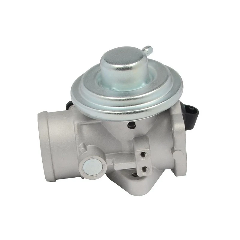 045 131 501L OE Quality EGR Valve For Light Commercial Diesel Vehicles BUGIAD:54022 factory