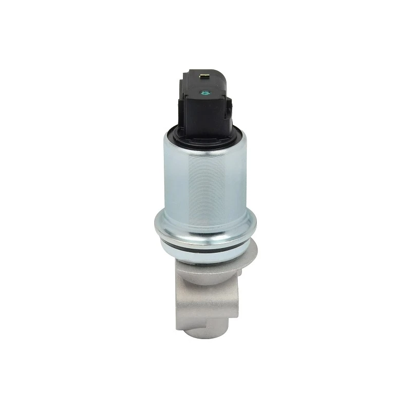 06A 131 501F OEM Standard EGR Valve For Audi ERA:555046 factory