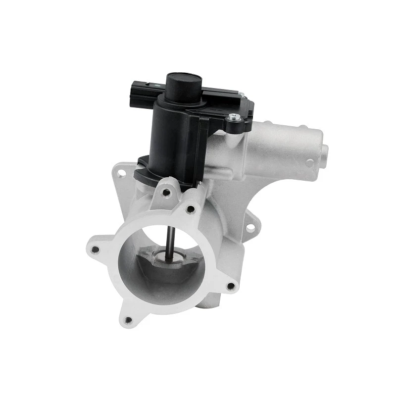 076131501A Automotive EGR Valve For VW/ AUDI/ SKODA/ SEAT Engines ERA 555227 suppliers