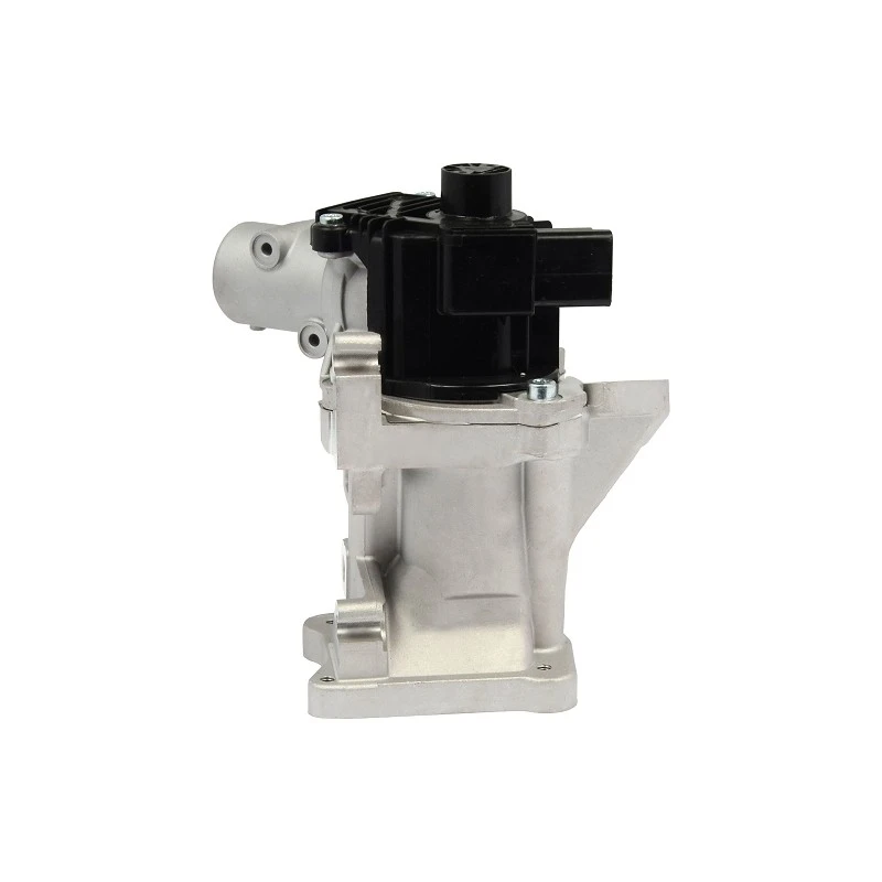1 427 355 OEM Standard EGR Valve For Peugeot Expert Diesel PIERBURG: 7.00578.12.0 high quality