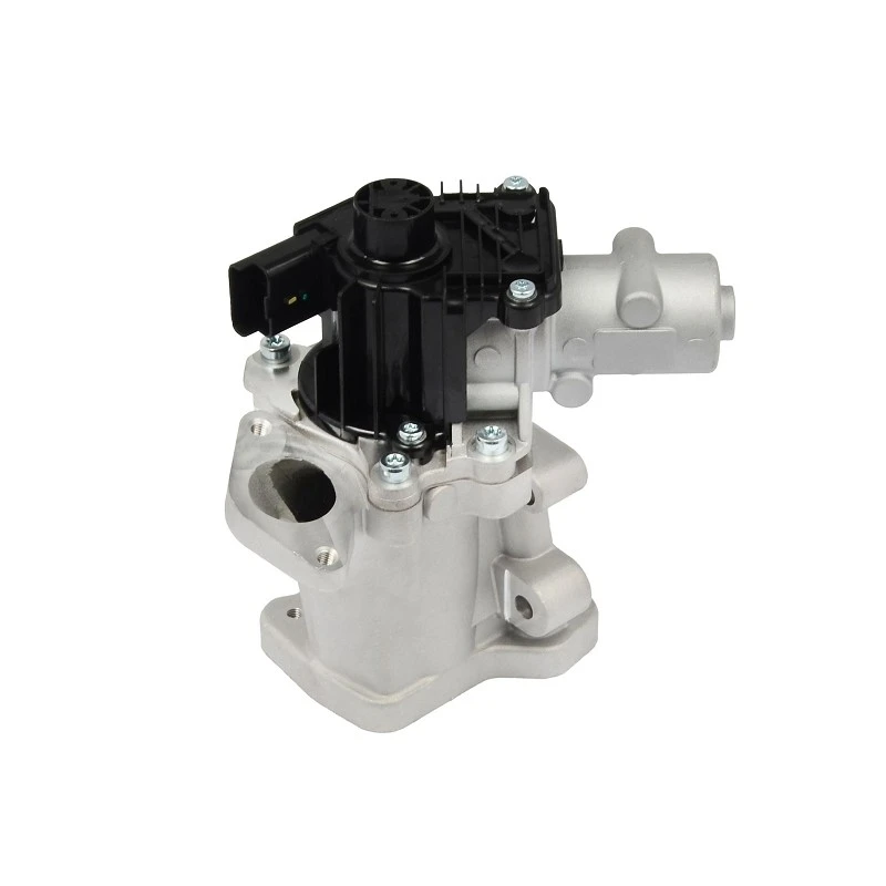 1 427 355 OEM Standard EGR Valve For Peugeot Expert Diesel PIERBURG: 7.00578.12.0 best