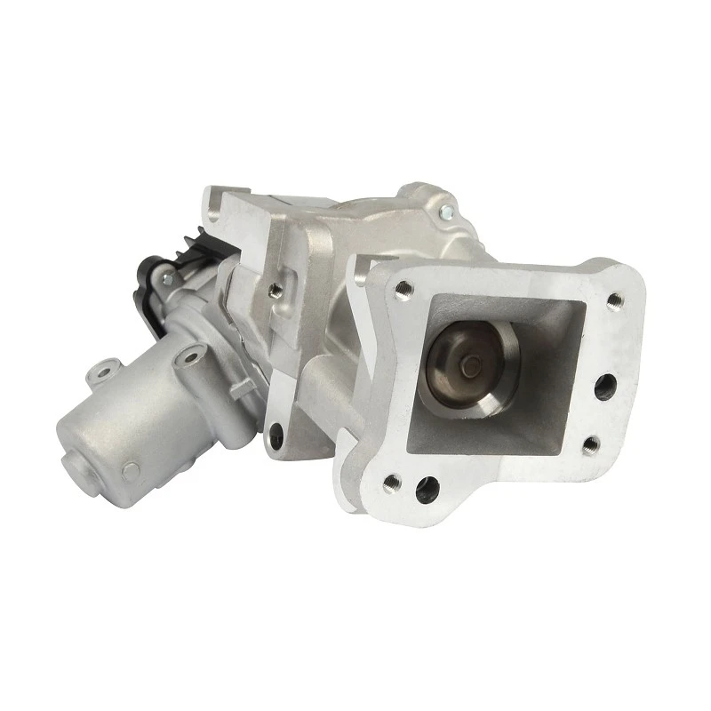 1 427 355 OEM Standard EGR Valve For Peugeot Expert Diesel PIERBURG: 7.00578.12.0 price
