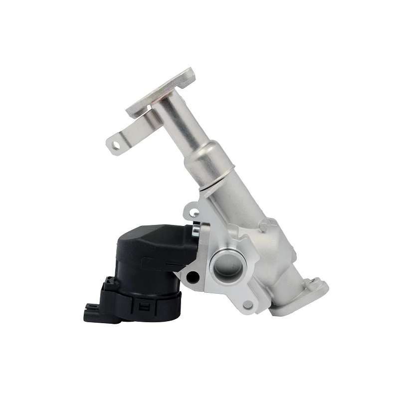 11 71 7 563 241 Automotive EGR Valve For BMW Diesel Systems PIERBURG 7.24809.50 factory