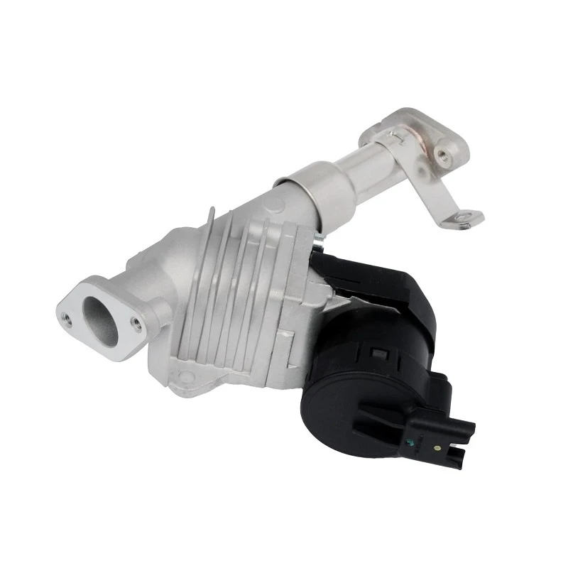 11 71 7 563 241 Automotive EGR Valve For BMW Diesel Systems PIERBURG 7.24809.50 best