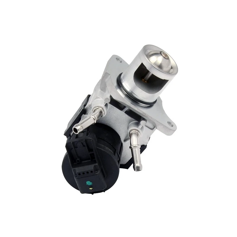 11717805447 Replacement EGR Valve For Twin Turbo Diesel Engines WAHLER: 7103.27D factory