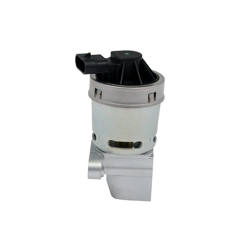 12581876 Exhaust Gas Recirculation Valve For CHEVROLET Diesel Platforms SKP:SKEGV612 factory