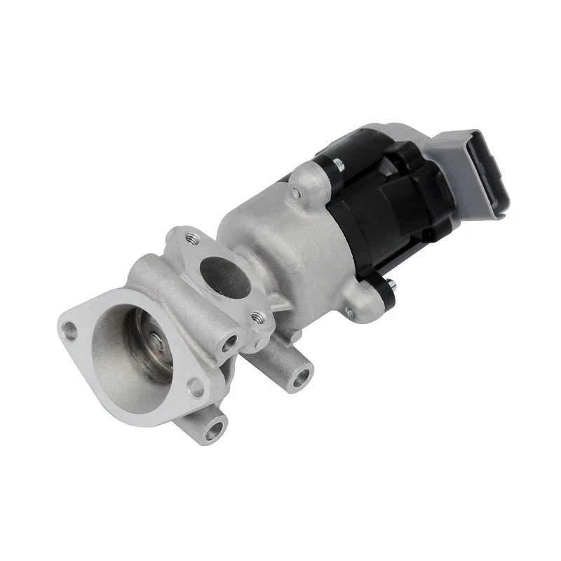 1618.N7 OE Quality EGR Valve For PEUGEOT Diesel ERA: 555011 high quality