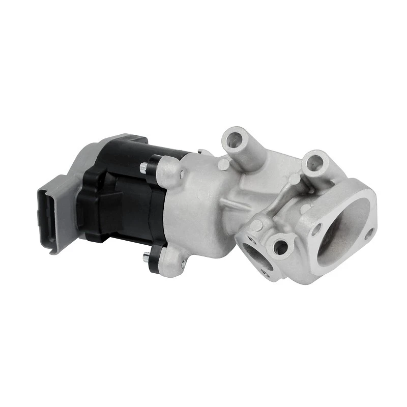 1618.N7 OE Quality EGR Valve For PEUGEOT Diesel ERA: 555011 best