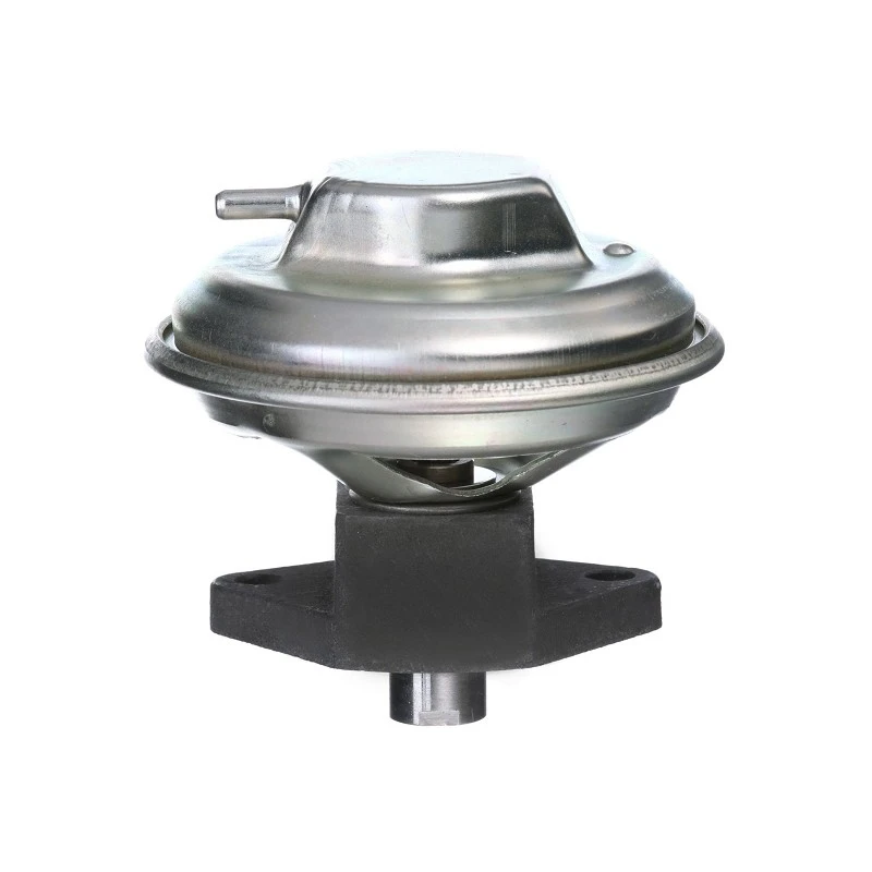 PY-EGRB250_2(001)