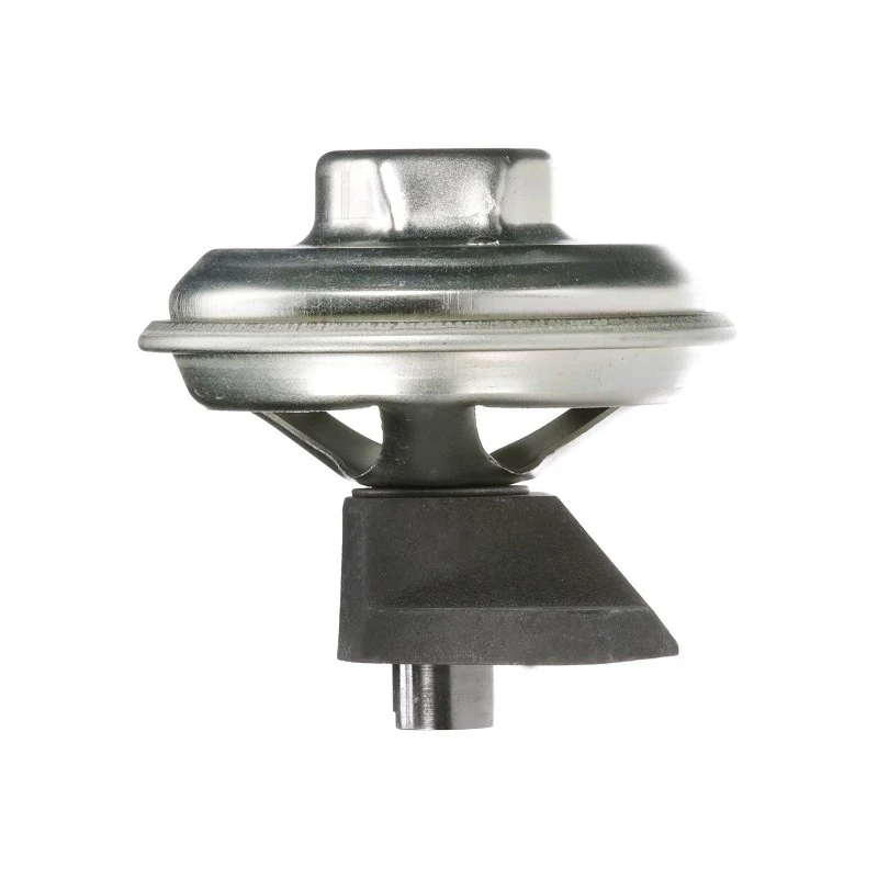 PY-EGRB250_3(001)