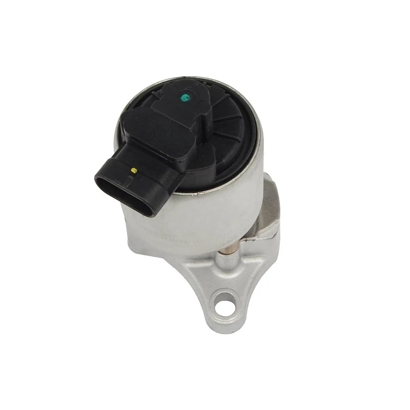 17096154 Automotive EGR Valve For CHEVROLET BorgWarner:EGR1179 high quality
