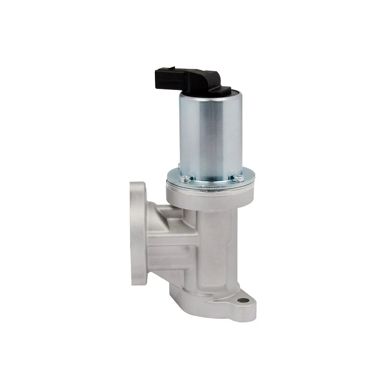 28410-27400 OEM Standard EGR Valve For HYUNDAI/ KIA ERA: 555130 factory