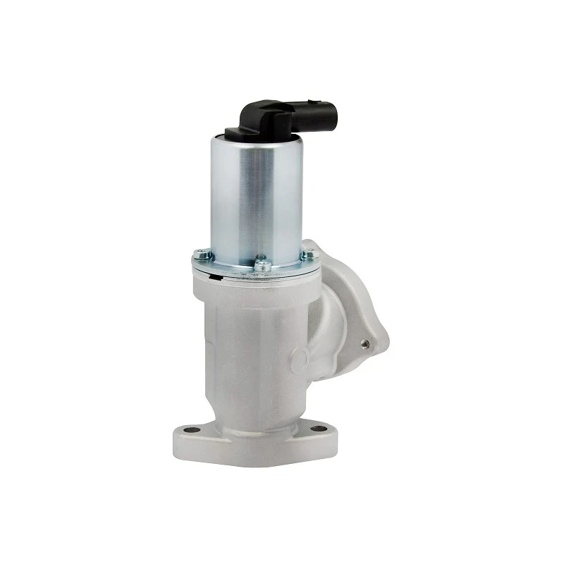 28410-27400 OEM Standard EGR Valve For HYUNDAI/ KIA ERA: 555130 suppliers