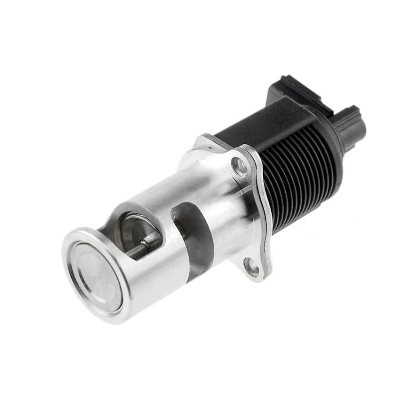 44 11 697 OEM Standard Diesel EGR Valve For GM/ OPEL/ Vaxhaull/ RENAULT Fleet Vehicles LUCAS: FDR157 factory