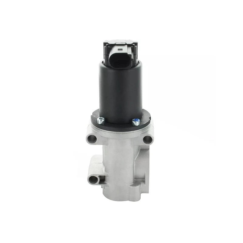 46530857 Diesel EGR Valve For FIAT PIERBURG:7.22946.33.0 factory