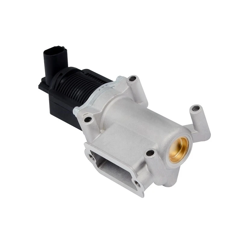46535796 OE Quality EGR Valve For FIAT Engines ERA: 555029 high quality