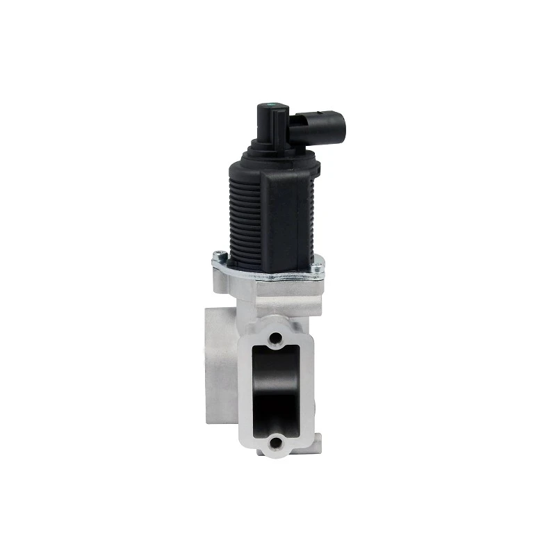 46535796 OE Quality EGR Valve For FIAT Engines ERA: 555029 factory