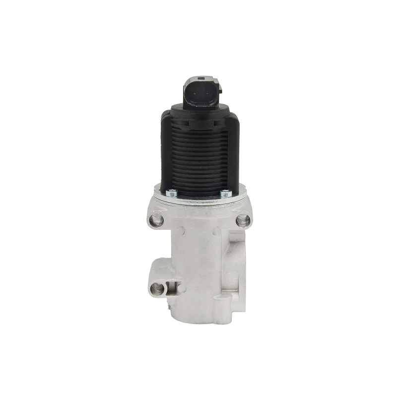 55204235 Automotive EGR Valve For LANCIA PIERBURG: 7.22946.34.0 factory