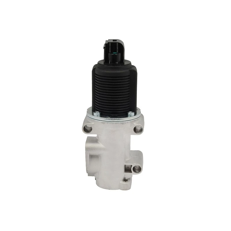 55204235 Automotive EGR Valve For LANCIA PIERBURG: 7.22946.34.0 best