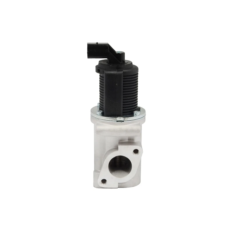 55204235 Automotive EGR Valve for LANCIA PIERBURG: 7.22946.34.0