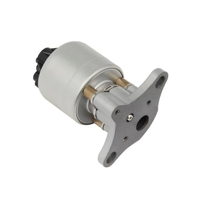 58 51 025 Heavy Duty Diesel EGR Valve For GM/ OPEL /VAUXHALL Long Mileage Applications PIERBURG: 7.24809.12.0 best