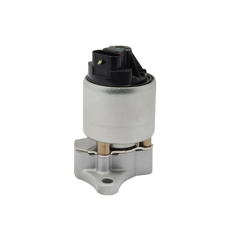 58 51 025 Heavy Duty Diesel EGR Valve For GM/ OPEL /VAUXHALL Long Mileage Applications PIERBURG: 7.24809.12.0 factory