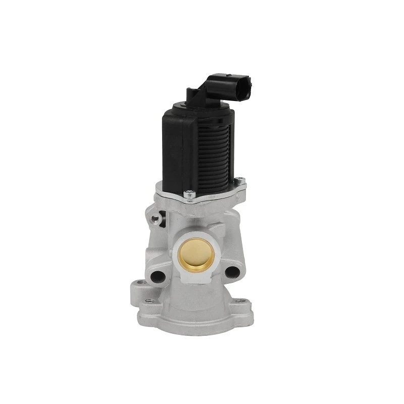 58 51 049 OEM Standard EGR Valve For Euro 6 Vehicles GM OPEL VAUXHALL FIAT LANCIA ALFA ROMEO ERA: 555040 best