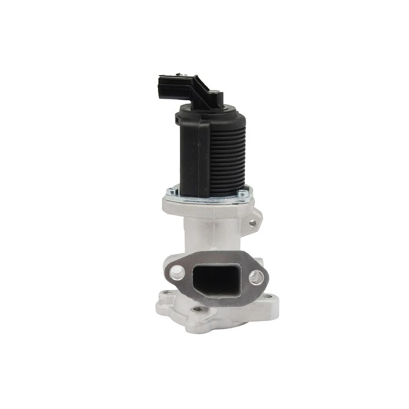 58 51 060 Automotive EGR Valve For ALFA ROMEO PIERBURG: 7.00020.25.0 suppliers