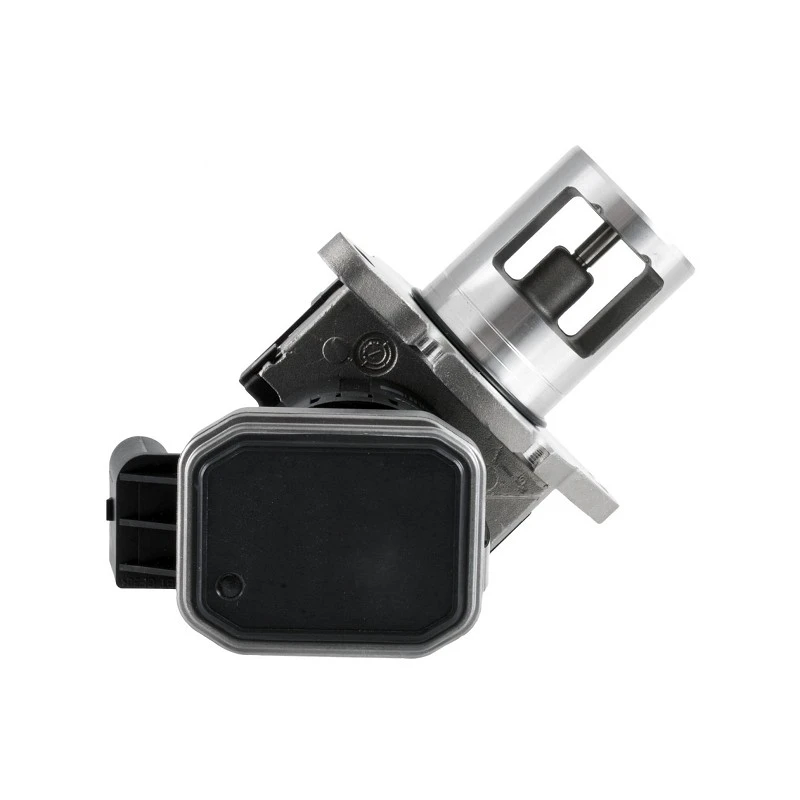 6461400860 Exhaust Gas Recirculation Valve For Refrigerated Transport Vans factory