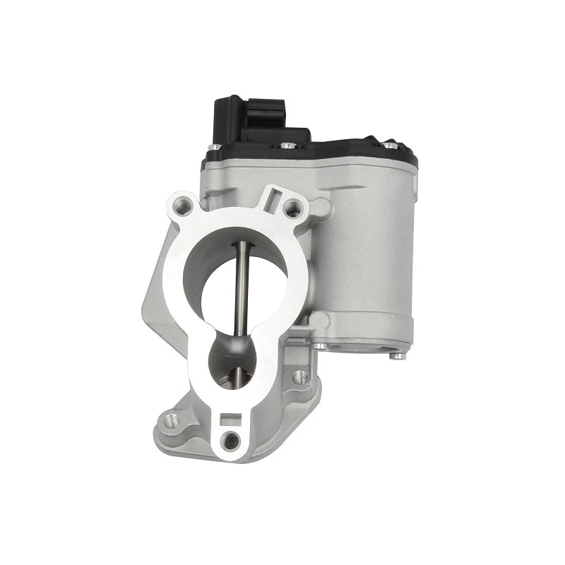 82 00 796 674 OE Quality EGR Valve For RENAULT Diesel Platforms ERA:555212 suppliers