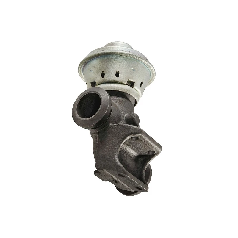 9640341280 OEM Standard EGR Valve for Diesel Exhaust Management ERA:555008