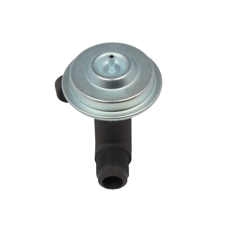 F75Z9D475C4A Replacement EGR Valve For Euro Standard Vehicles WALKER PRODUCTS:5705059 factory
