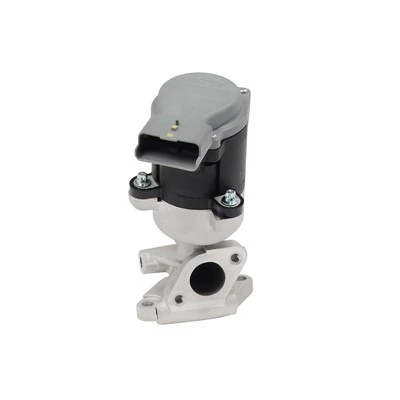 1618.N6 Replacement EGR Valve for JAGUAR Diesel HOFFER: 7518082