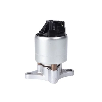 17114573 Automotive EGR Valve for CHEVROLET BUICK AIRTEX:4F1139