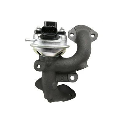2562020020 Electronic EGR Valve for European Automotive Standards SKP:SKEGV693