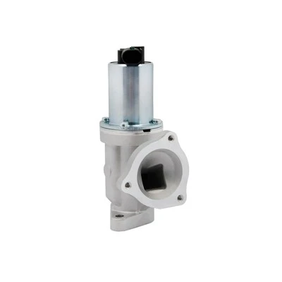28410-27400 OEM Standard EGR Valve for HYUNDAI/ KIA ERA: 555130