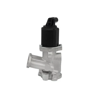 58 51 049 OEM Standard EGR Valve for Euro 6 Vehicles GM OPEL VAUXHALL FIAT LANCIA ALFA ROMEO ERA: 555040