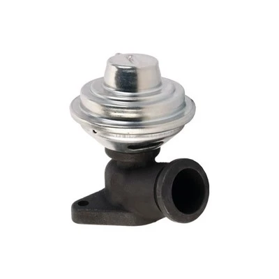 9638231480 Diesel EGR Valve Compatible With FIAT ERA:555226